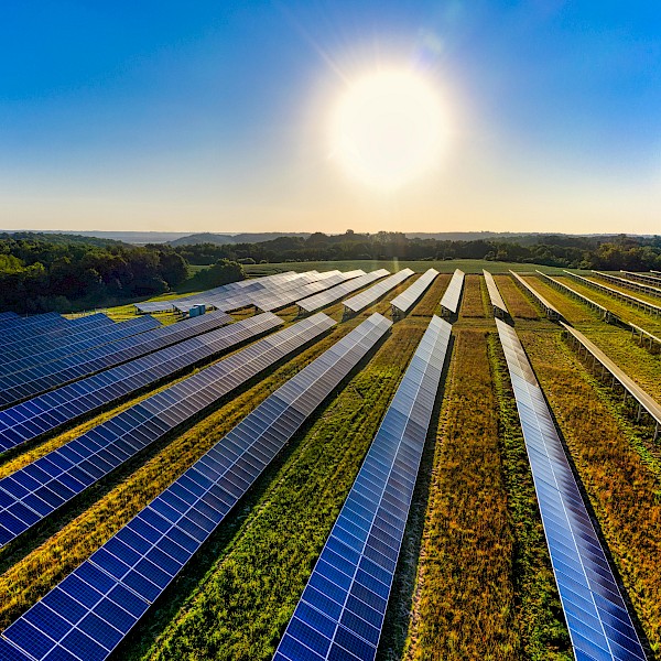 Solar farms not only need to protect their valuable equipment and infrastructure but also prevent unauthorised access and safeguard against theft and vandalism.